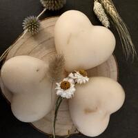 Roman Chamomile and Lavender (Chubby Heart)