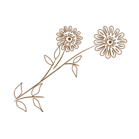 Calendula petals