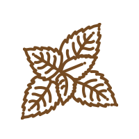 Peppermint leaf extract