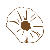 Poppy seeds