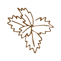 Rose geranium leaf oil