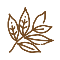Tea tree leaf oil