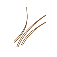 Vetiver essential oil
