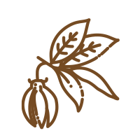 Ylang Ylang flower oil